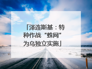 泽连斯基：特种作战“蛛网”为乌独立实施