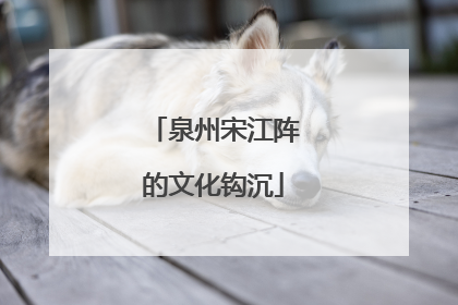 泉州宋江阵的文化钩沉