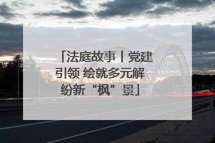 法庭故事丨党建引领 绘就多元解纷新“枫”景