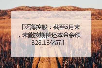 泛海控股：截至5月末，未能按期偿还本金余额328.13亿元