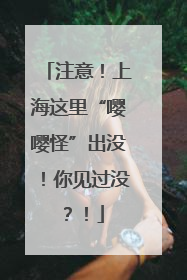 注意！上海这里“嘤嘤怪”出没！你见过没？！