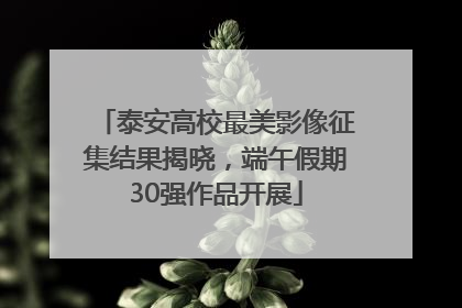 泰安高校最美影像征集结果揭晓，端午假期30强作品开展