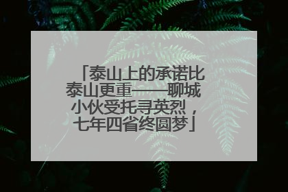 泰山上的承诺比泰山更重——聊城小伙受托寻英烈，七年四省终圆梦