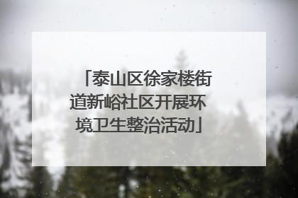 泰山区徐家楼街道新峪社区开展环境卫生整治活动