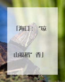 海口：“琼山福稻”香