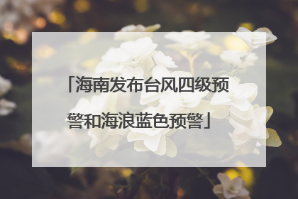海南发布台风四级预警和海浪蓝色预警