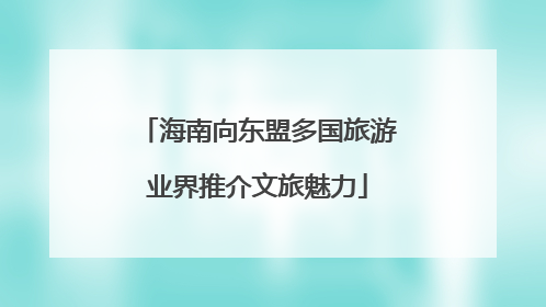海南向东盟多国旅游业界推介文旅魅力