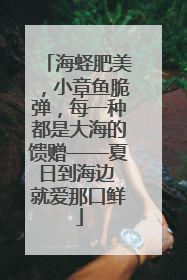 海蛏肥美，小章鱼脆弹，每一种都是大海的馈赠——夏日到海边 就爱那口鲜