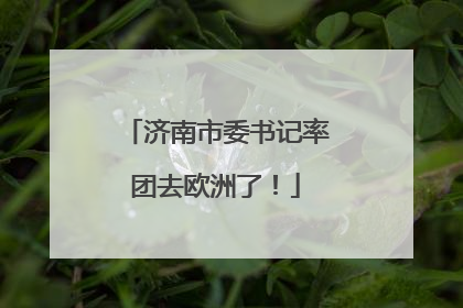 济南市委书记率团去欧洲了！