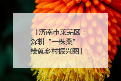 济南市莱芜区：深耕“一株桑” 绘就乡村振兴图