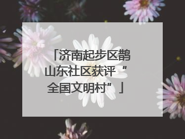 济南起步区鹊山东社区获评“全国文明村”
