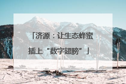 济源：让生态蜂蜜插上“数字翅膀”