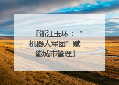 浙江玉环：“机器人军团”赋能城市管理