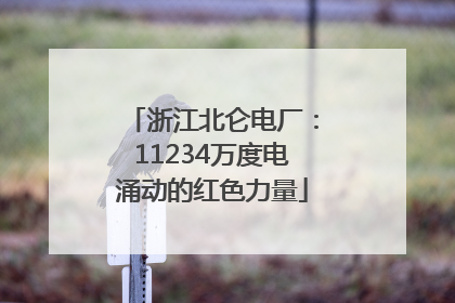 浙江北仑电厂：11234万度电涌动的红色力量
