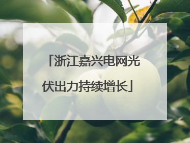 浙江嘉兴电网光伏出力持续增长