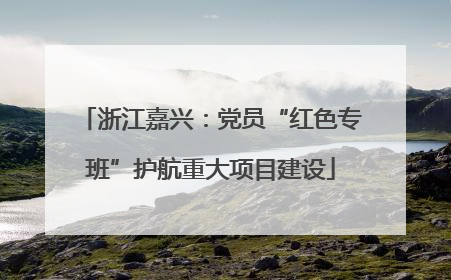 浙江嘉兴：党员“红色专班”护航重大项目建设