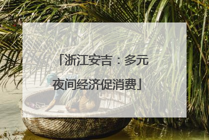 浙江安吉：多元夜间经济促消费