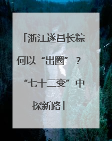 浙江遂昌长粽何以“出圈”？“七十二变”中探新路