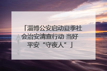 淄博公安启动夏季社会治安清查行动 当好平安“守夜人”