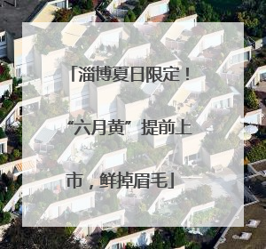 淄博夏日限定！“六月黄”提前上市，鲜掉眉毛