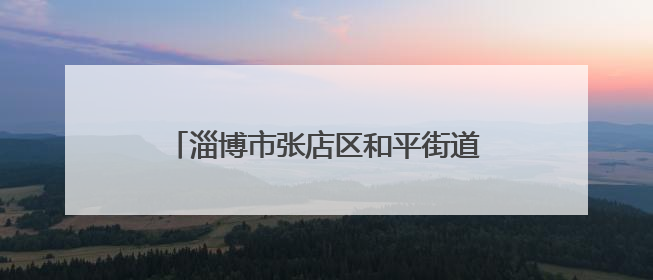 淄博市张店区和平街道家具城社区开展“夜市办”为民服务零距离活动