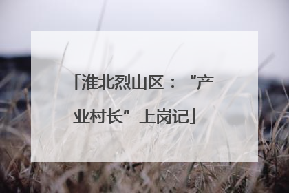 淮北烈山区：“产业村长”上岗记