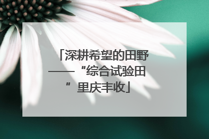 深耕希望的田野——“综合试验田”里庆丰收