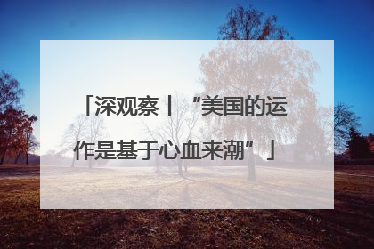 深观察丨“美国的运作是基于心血来潮”