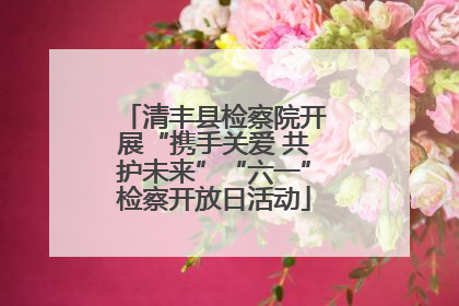 清丰县检察院开展“携手关爱 共护未来”“六一”检察开放日活动