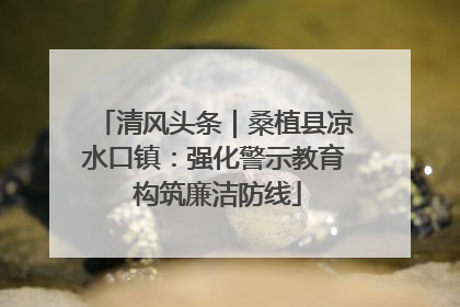 清风头条｜桑植县凉水口镇：强化警示教育 构筑廉洁防线