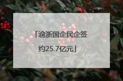 渝浙国企民企签约25.7亿元
