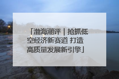 渤海潮评｜抢抓低空经济新赛道 打造高质量发展新引擎