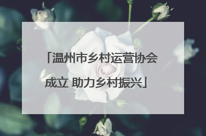 温州市乡村运营协会成立 助力乡村振兴