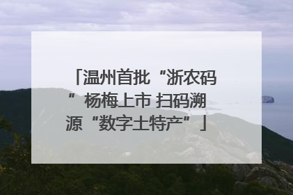 温州首批“浙农码”杨梅上市 扫码溯源“数字土特产”