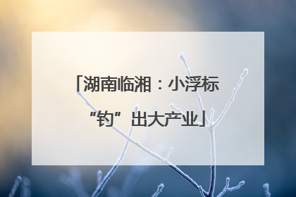 湖南临湘：小浮标“钓”出大产业
