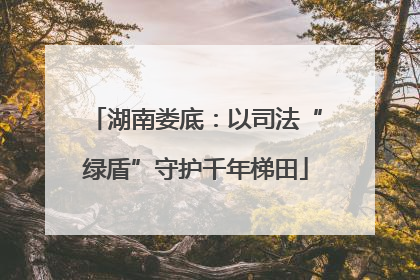 湖南娄底：以司法“绿盾”守护千年梯田