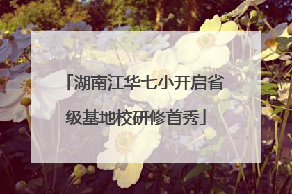 湖南江华七小开启省级基地校研修首秀