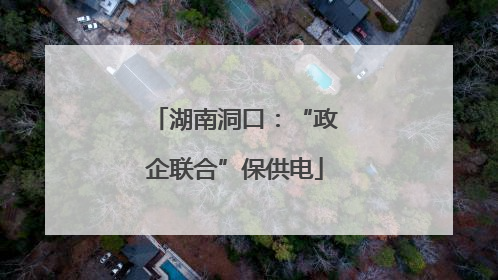 湖南洞口：“政企联合”保供电
