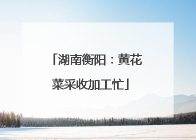 湖南衡阳：黄花菜采收加工忙