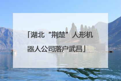 湖北“荆楚”人形机器人公司落户武昌