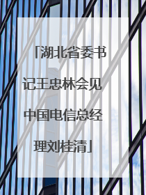 湖北省委书记王忠林会见中国电信总经理刘桂清