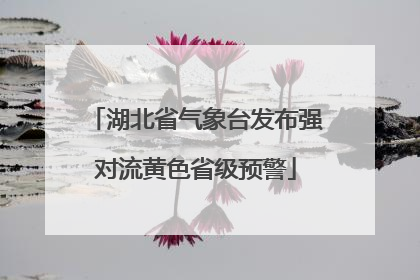 湖北省气象台发布强对流黄色省级预警