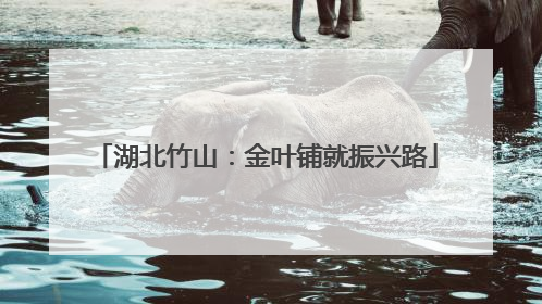 湖北竹山：金叶铺就振兴路