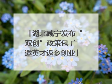 湖北咸宁发布“双创”政策包 广邀英才返乡创业
