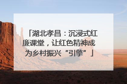 湖北孝昌：沉浸式红廉课堂，让红色精神成为乡村振兴“引擎”