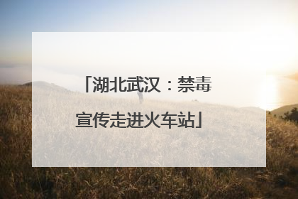 湖北武汉：禁毒宣传走进火车站