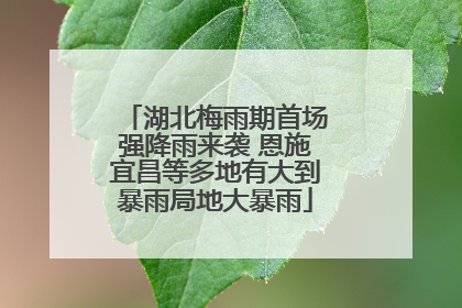 湖北梅雨期首场强降雨来袭 恩施宜昌等多地有大到暴雨局地大暴雨