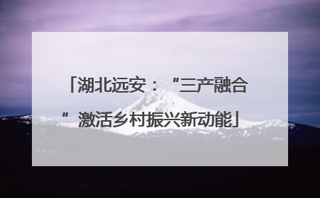 湖北远安：“三产融合”激活乡村振兴新动能