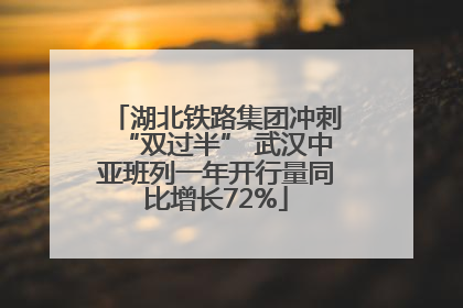 湖北铁路集团冲刺“双过半” 武汉中亚班列一年开行量同比增长72%