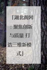 湖北黄冈：聚焦创新与质量 打造三维新模式